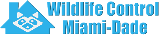 Miami-Dade County Wildlife and Animal Removal